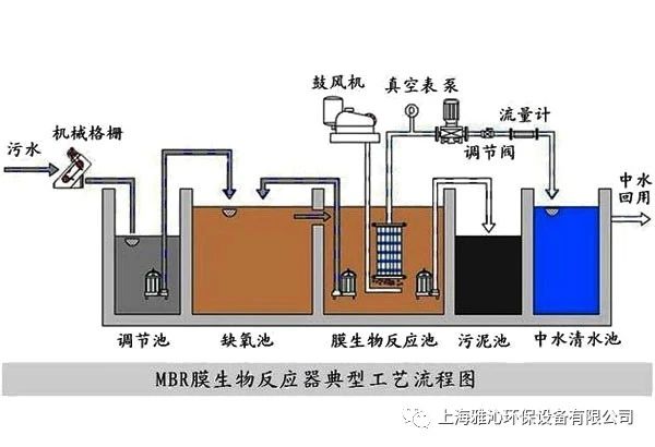 生化系统